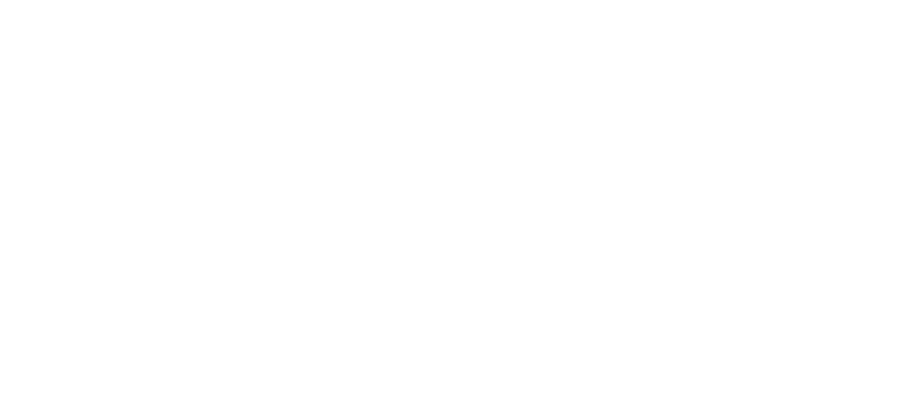Ramirez Perú Group